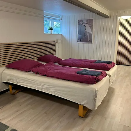 Apartman H. C. Lumbyes Vej - Kaelderlejlighed Odense