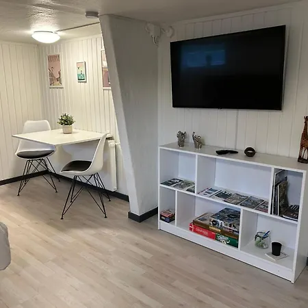 H. C. Lumbyes Vej - Kaelderlejlighed Apartamento Odense