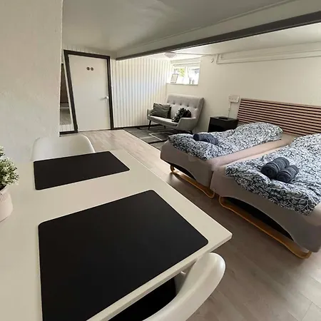 Lejlighed H. C. Lumbyes Vej - Kælderlejlighed Odense