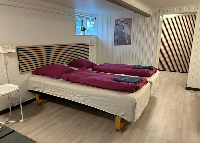 Apartamento H. C. Lumbyes Vej - Kaelderlejlighed Odense