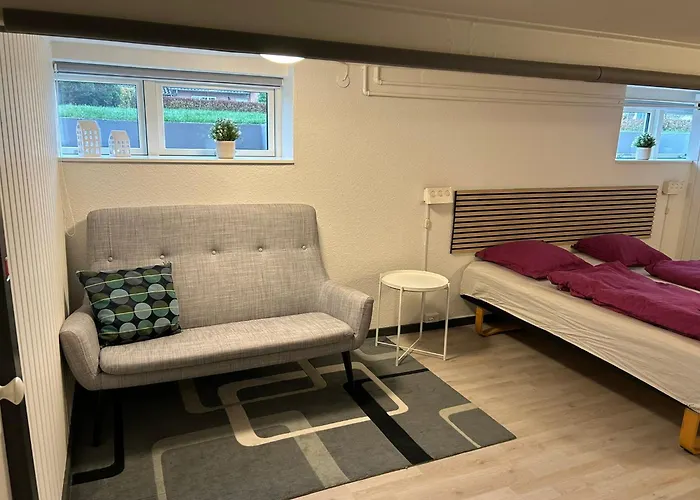 H. C. Lumbyes Vej - Kaelderlejlighed Odense