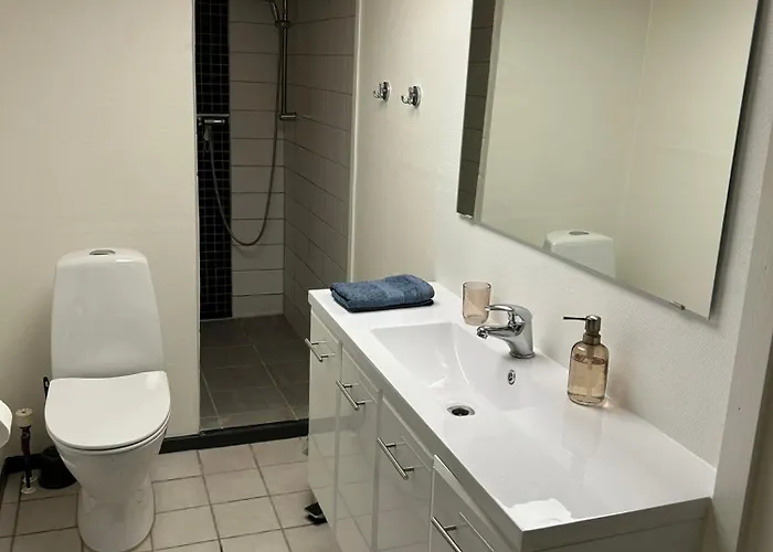 H. C. Lumbyes Vej - Kaelderlejlighed * Odense