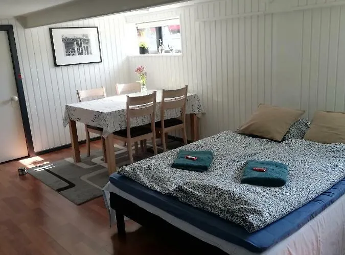 H. C. Lumbyes Vej - Kaelderlejlighed Odense